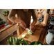 Кухонний ніж поварський Santoku Fiskars Functional Form, 16см, нержавіюча сталь, пластик, чорний