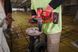 Гайковерт аккумуляторный бесщеточный 1'' MILWAUKEE, M18 ONEFHIWF1-0X, 2400Нм, с кольцом (каркас, HD кейс)