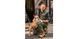 Брюки рабочие NEO CAMO Olive, размер XL (54), 255 г/м2, профилированные колени с выточкой, внутренняя регулировка пояса, прочные карманы и петли для инструмента, оливк.
