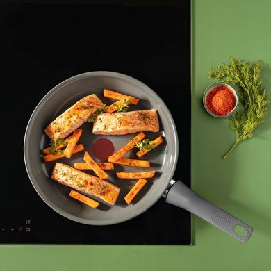 Сотейник з кришкою Tefal Renewal, 24см, алюміній, бакеліт, скло, сірий