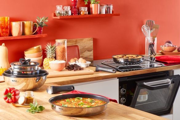 Набір посуду Tefal Ingenio ON, змінна ручка, 20предметів, нержавіюча сталь, бакеліт, пластик, скло