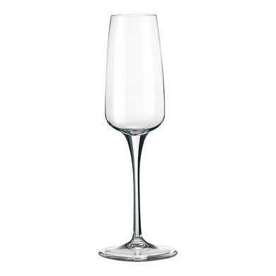 Набор бокалов Bormioli Rocco Aurum для шампанского, 230мл, h-235см, 6шт, стекло