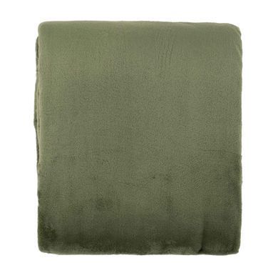Плед Ardesto Flannel, 200x220см, 100% полиэстер, зеленый