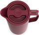 Термоглечик Tefal Motiva, 1л, пластик, стекло, бордовый